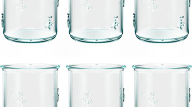 Sip in Style: Amici Home Regina DOF Glass Review