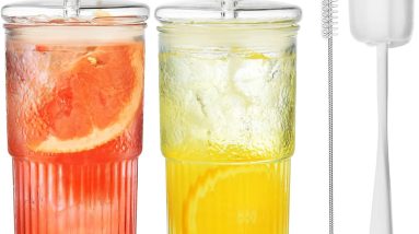Chill in Style: Review of ALINK 22 oz Glass Cups with Lids and Straws